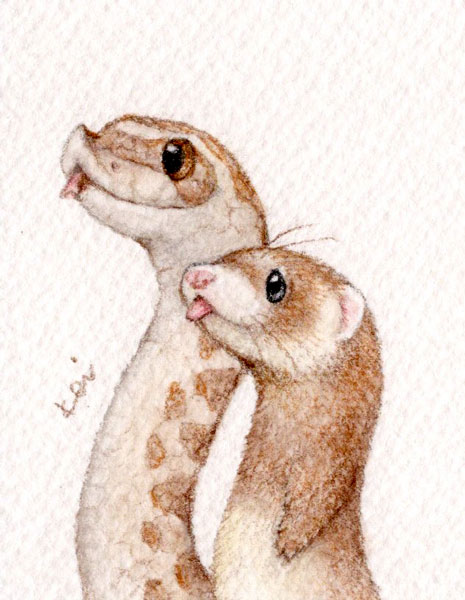 k_night_222's tweet image. 遅くなりましたが2025年もどうぞよろしくお願いいたします🎍