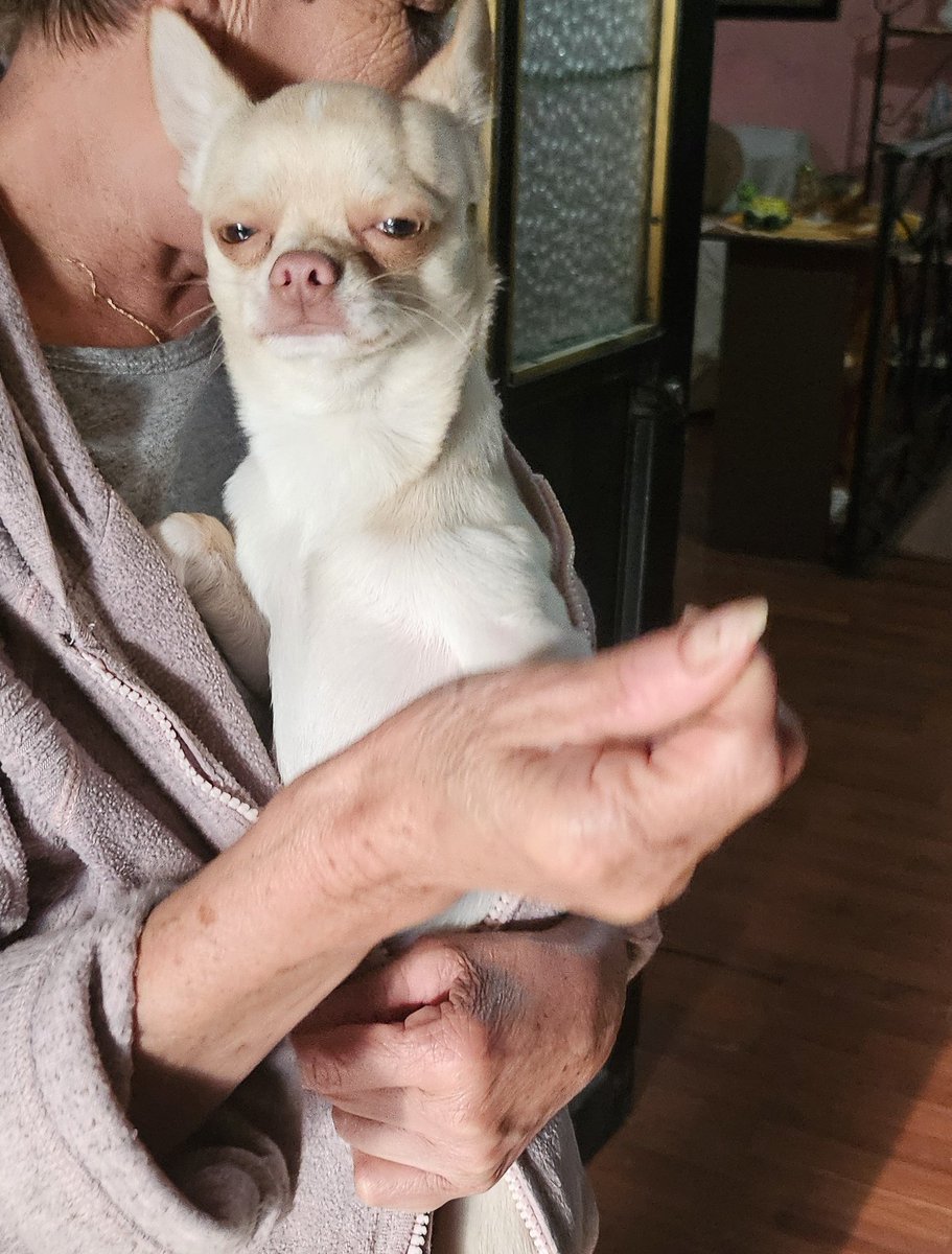 Mi cara al ver que #EmiliaPerez ganó cuatro premios en los #GoldenGlobes...