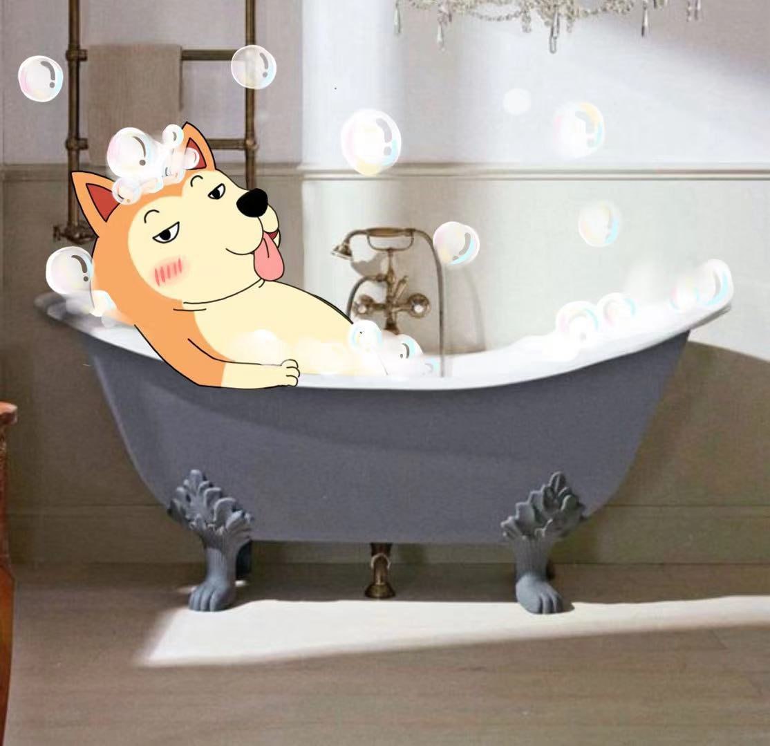 <a href="/SolJakey/">Jakey</a> Yeah, given the technology, that's pretty much how it is. There's a reason #ElonMusk takes a break from life and plays cool games.

And there are pets in our game - they are $Doggo and #doge. 

Everything is real, if only ai agents would make money for us like @shillguy_ai does