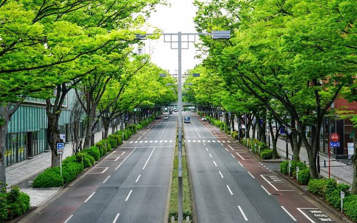 _M1901_'s tweet image. ウンコたんはゴミ箱へ。政府はもう要らないでしょう。新しい未来がスクスクと育ってます。

お片付けはゴミを捨てることからよ〜💕
日本を再び綺麗にしていきましょう。

Make Japan Clean Again 🇯🇵

トランプ氏をパクってみましたw

#MJCA