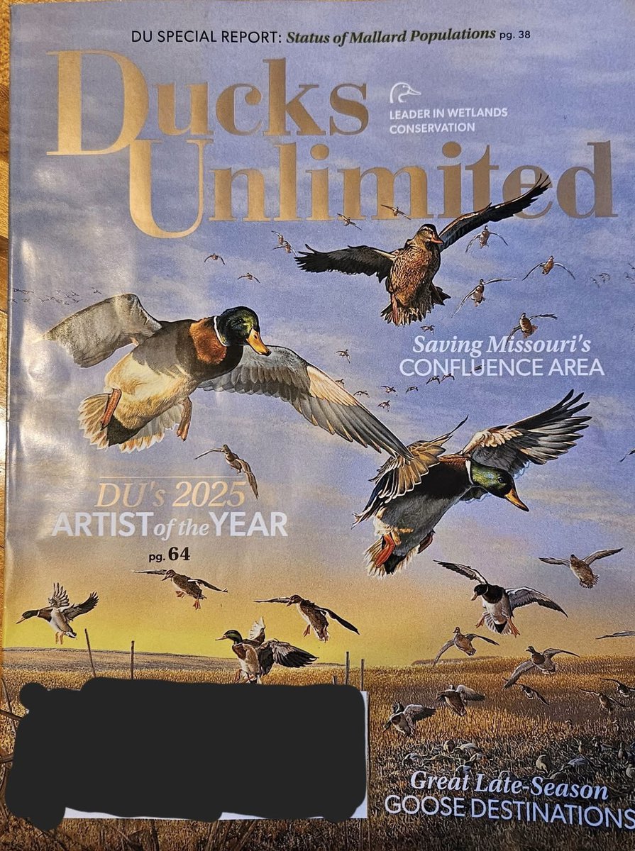 Akshit suthar (@akshitsuthar) on Twitter photo Excited and honored to be featured in <a href="/DucksUnlimited/">Ducks Unlimited</a> magazine's January/February 2025 issue highlighting our research on South Carolina's antebellum rice fields, waterfowl, and decision-support tools. <a href="/ClemsonUniv/">Clemson University</a> <a href="/ClemsonCAFLS/">Clemson CAFLS</a> <a href="/ClemsonBaruch/">Baruch Institute CU</a> Excited and honored to be featured in <a href="/DucksUnlimited/">Ducks Unlimited</a> magazine's January/February 2025 issue highlighting our research on South Carolina's antebellum rice fields, waterfowl, and decision-support tools. <a href="/ClemsonUniv/">Clemson University</a> <a href="/ClemsonCAFLS/">Clemson CAFLS</a> <a href="/ClemsonBaruch/">Baruch Institute CU</a>