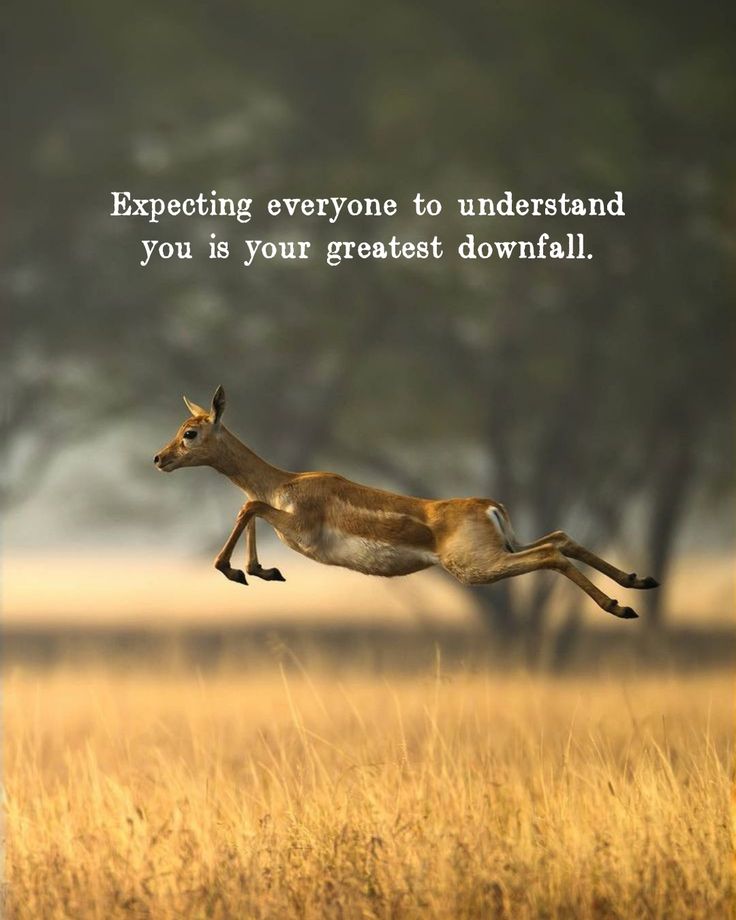 Expecting everyone to understand you is your greatest downfall.