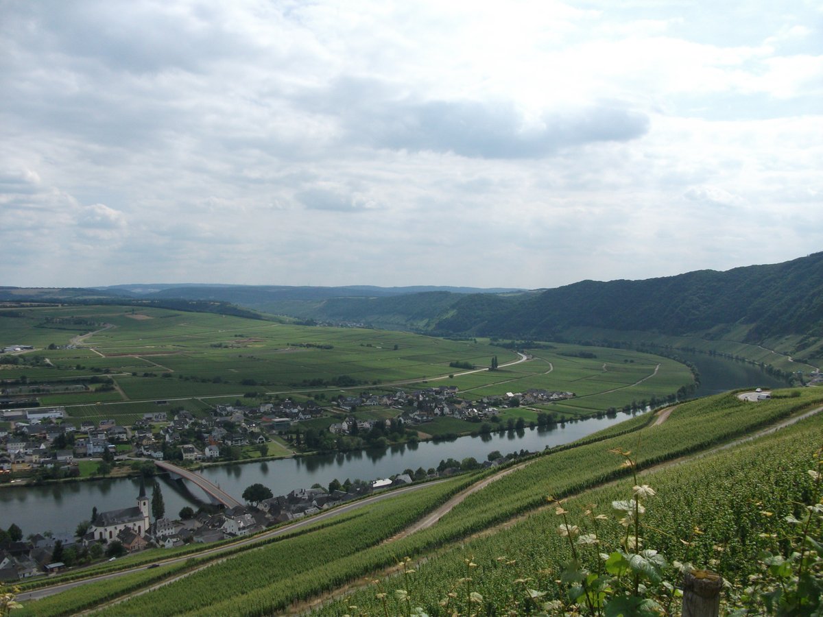 delectable.com/wine/josef-reu…  
#winetasting #winetime #Weingut #Mosel #Weintrinker #Weinliebhaber #Getränke #Wein #vino #vini #wijn #vin #wine #Piesporter