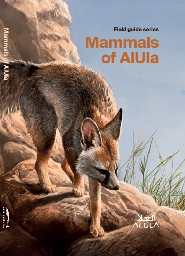 SaudiZoologist's tweet photo. بحمد الله صدر كتاب ثدييات العلا وسعدت بالمشاركة فيه كمؤلف للنسختين الإنجليزية والعربية ومترجم للنسخة للعربية.
سيتم توفير نسخ PDF قريباً بحول الله.

للمزيد من المعلومات:
https://t.co/bAPS5pOXv0 https://t.co/UuWpwGxM18