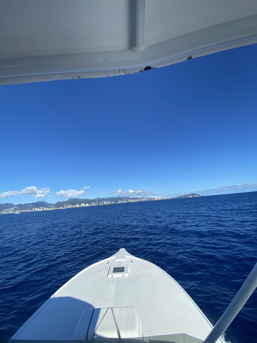 idontpaytaxes tweet media