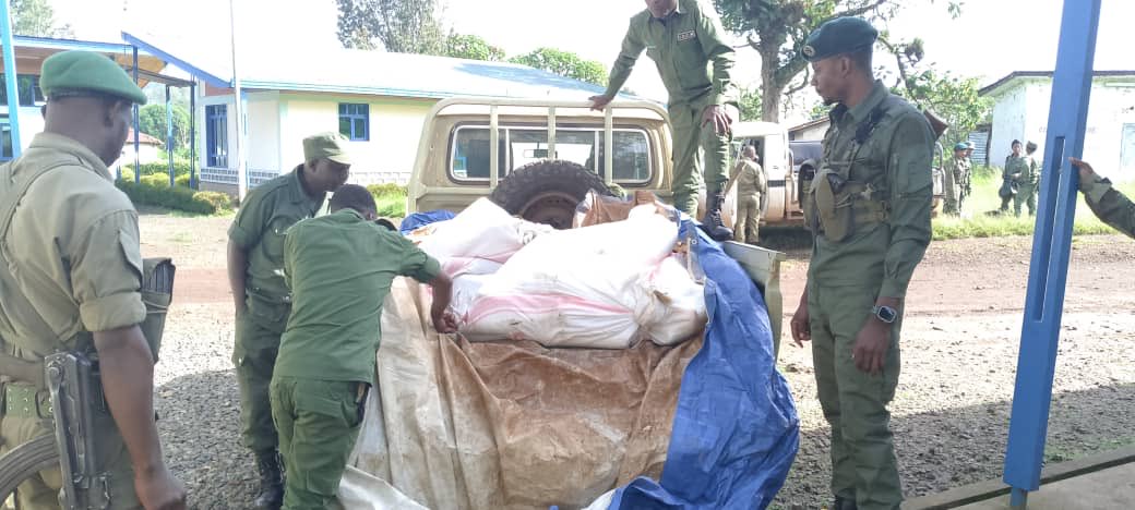 Amini16's tweet image. On Jan 4th, nearly 1.5 tons of ivory seized in S/Kivu were handed over to @IccnRdc for safekeeping. This milestone reflects strong collaboration between stakeholders to protect our natural heritage. While elephants may never return, accountability has been achieved.
