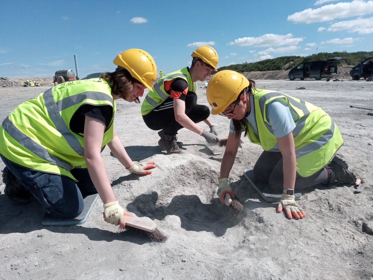 An unexpected perk of being a Research Communications Manager was getting to be a palaeontologist for the day! Uncovering prints from the fearsome predator Megalosaurus and an enormous sauropod was an incredible experience. What a story to start 2025! oxford.shorthandstories.com/behind-the-sce…