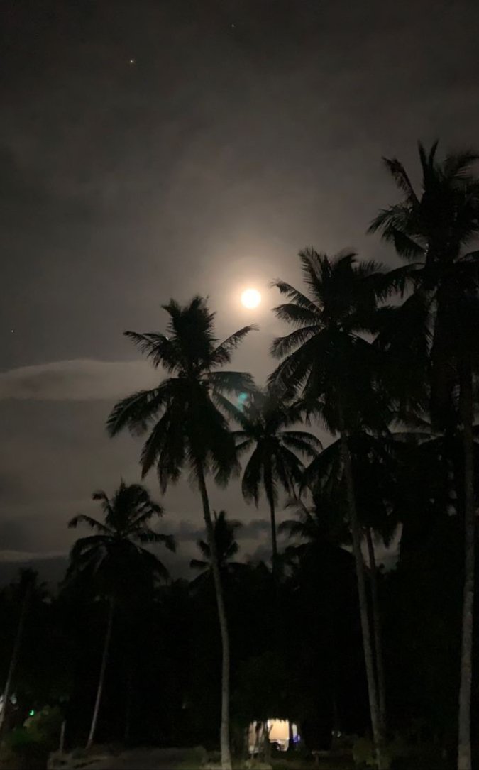 Datanglah sebelum malam,
Ku titipkan harap pada rembulan,
Dekaplah sejumput cahaya,
Untuk menerangi jalan kita,
Agar cinta tak terpisah oleh bayang-bayang.

#piece_of_story #love #alwaysforever #youandme #memories