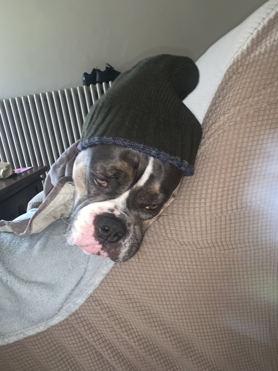 Talsadoum capitaine mozart era🥁 tweet media