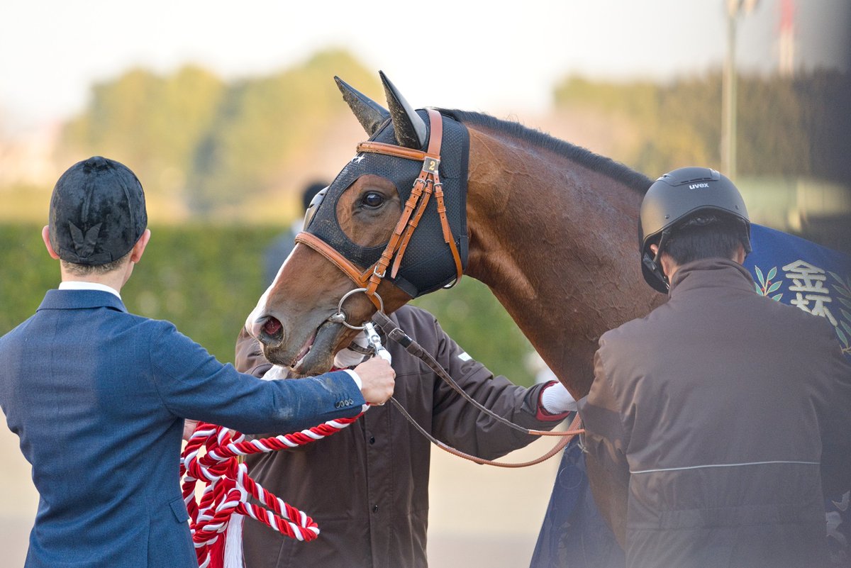 モス！ tweet media