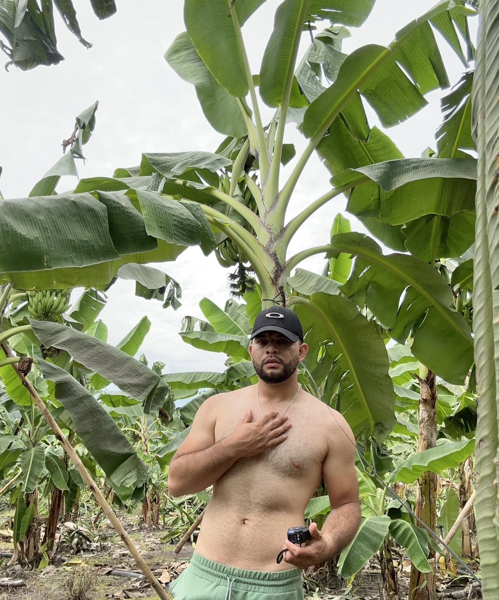 Es cosecha de plátanos 🍌 RT si te gustaría cosechar plátanos conmigo . 
😏🥵