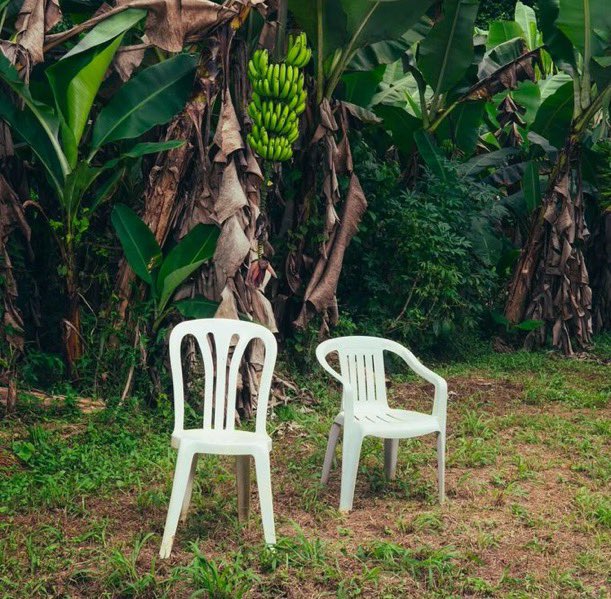 FuentesDelGenero tweet media