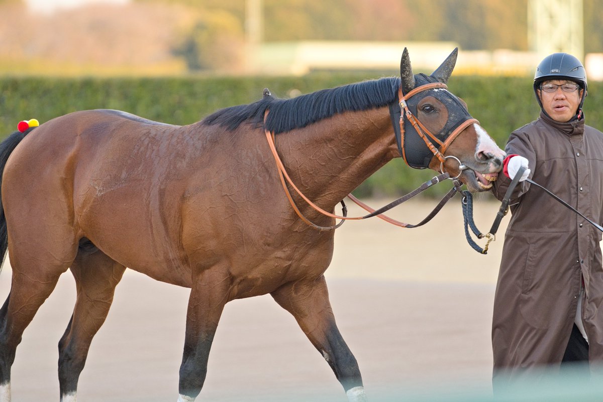 モス！ tweet media