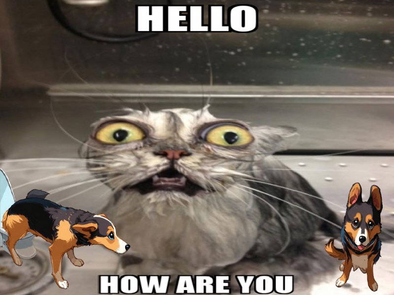 renal.eth tweet media