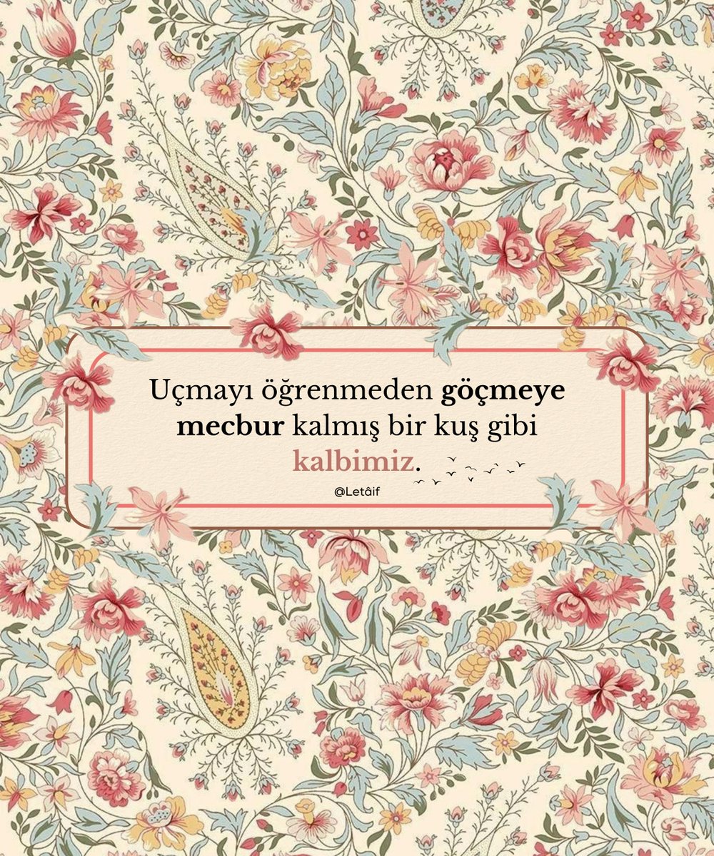 LetaifiHafi's tweet photo. Cahit Zarifoğlu.. https://t.co/yCDp1IBacn