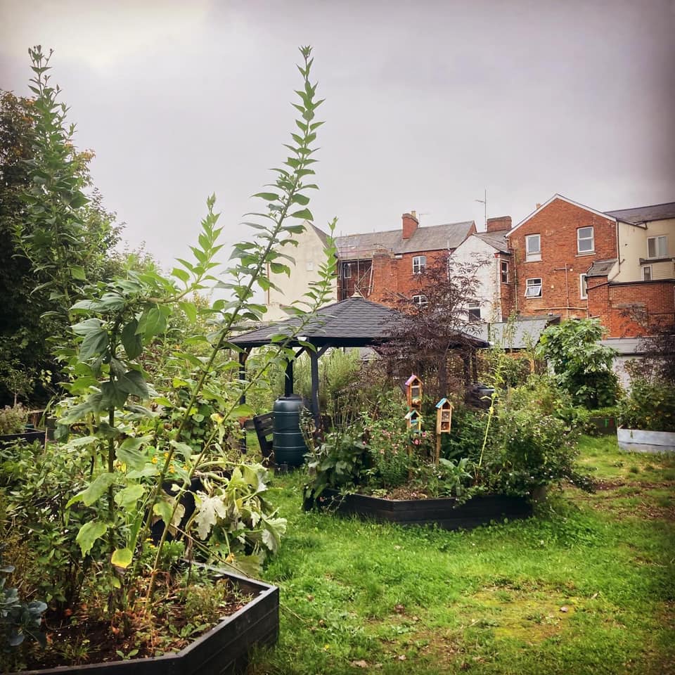 So many people benefit from the wildlife friendly Bridge Street Community Garden, Banbury.  Their brilliant newsletter shows how much community spirit goes into such a wonderful space.  ow.ly/eqvC50Uzcp4.  We love supporting the projects there.  #CommunityGarden