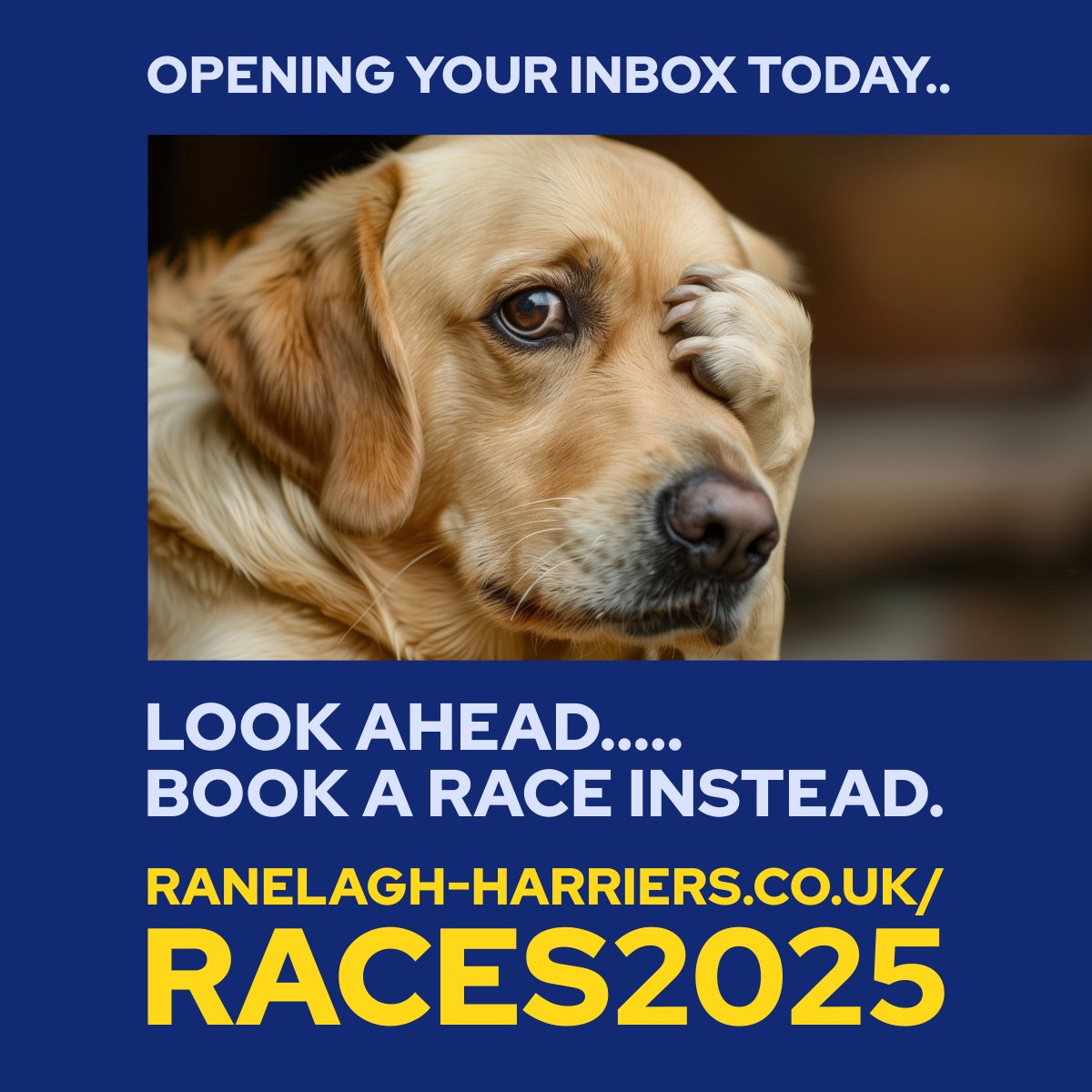 Facing an inbox of doom? Enter our races and we'll guarantee you'll smile again!

Don't miss out on our early bird prices. BOOK NOW to save ⬇️

💙 Half: 11 May @ 8.30am (£32 UKA / £34 non) 
💛 10k: 22 June @ 9am (£20 UKA / £22 non)

ranelagh-harriers.co.uk/races2025 ⬅️