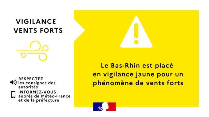 [Météo : Alerte jaune vent fort]

Le Bas-Rhin est placé en #AlerteJaune
 
Pour #vent #fort

Valable à partir du lundi 06 janvier 2025 dès 12h00

Soyez vigilants en cas d'activité de plein air et déplacements

Plus d'infos : 
Préfecture du Bas-Rhin
Météo france

📸 Préfecture 67