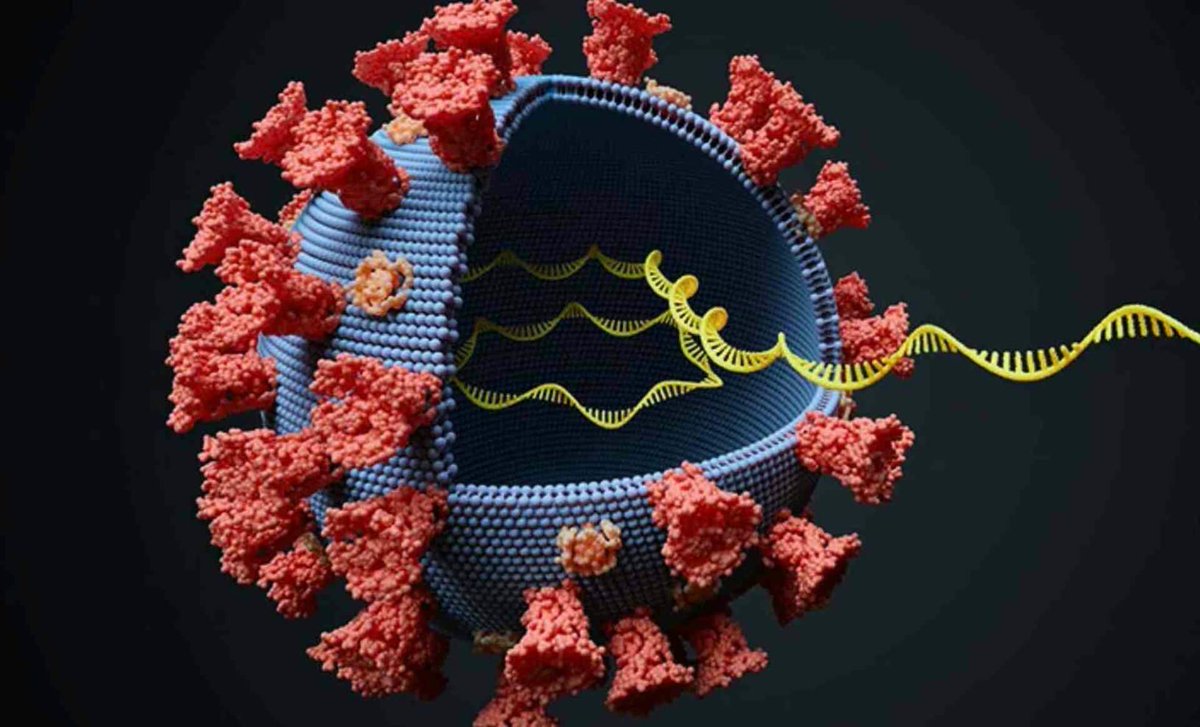 Ce système d’IA prédit et prévient la propagation de maladies mortelles avant qu’elles ne se propagent : voici comment procéder – scoop.it/topic/e-health…