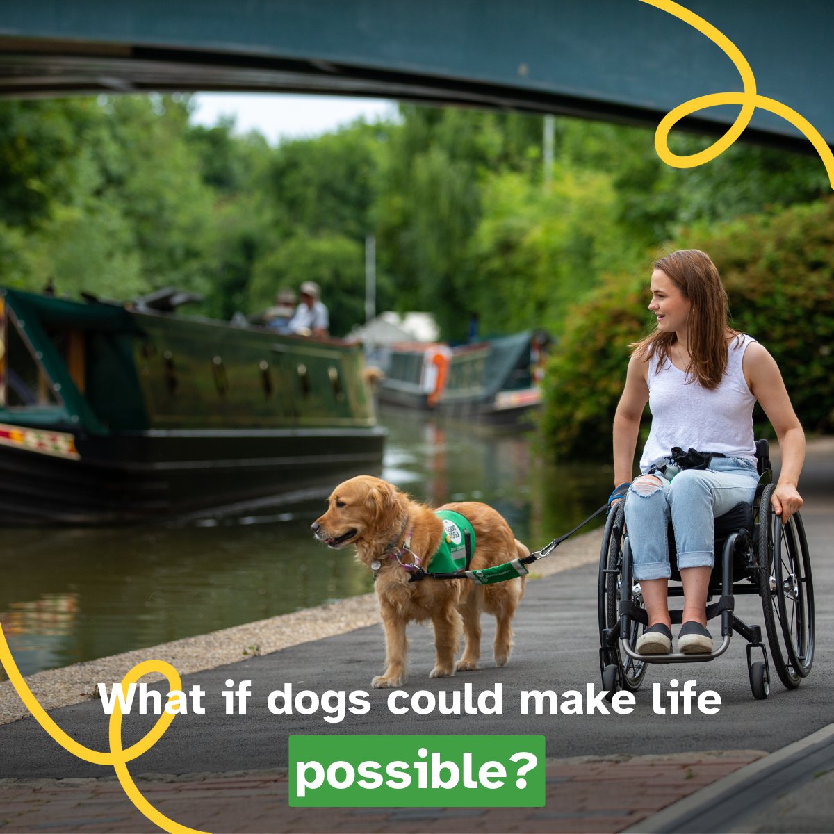 Dogs for Good tweet media