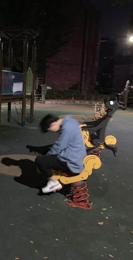 its all about the good vibes with my goodboys