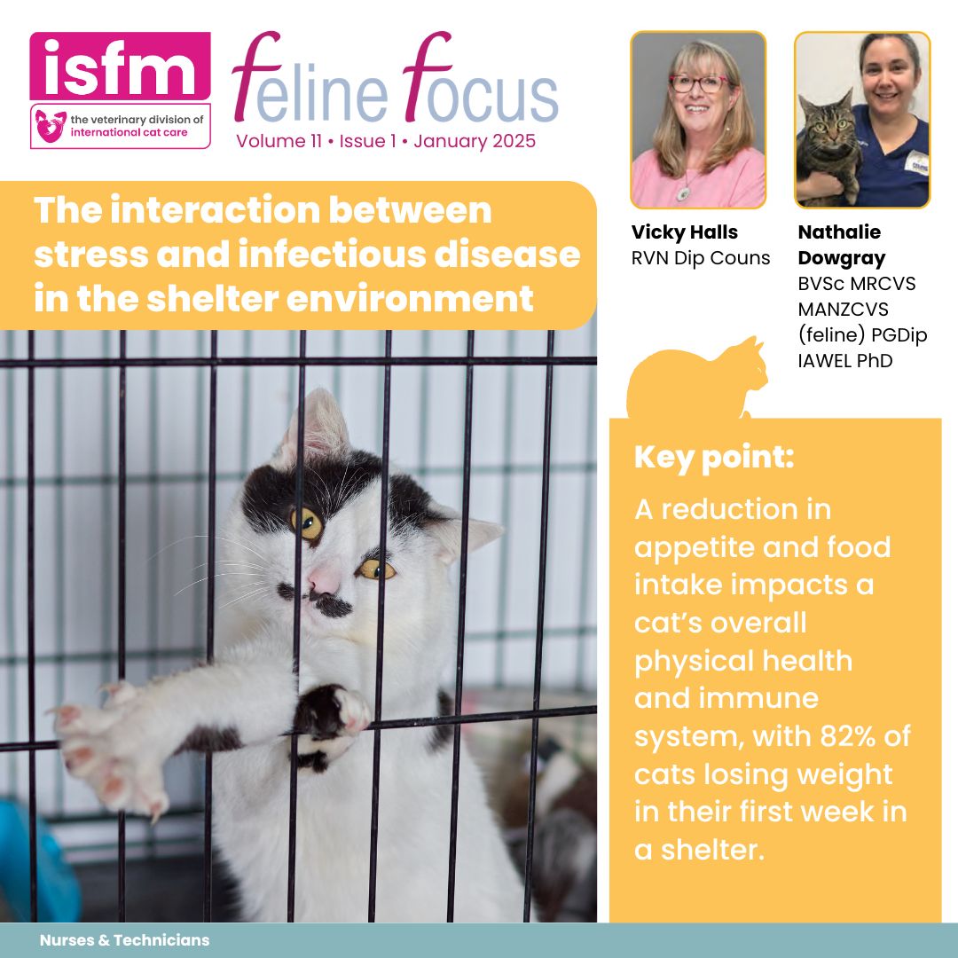 🐈 In this issue of #FelineFocus Vicky Halls and Nathalie Dowgray look at the interaction between stress and infectious disease in the shelter environment. 🤩forum.icatcare.org/communities/co…