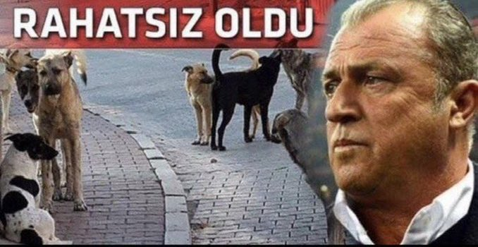 maykecho's tweet photo. @HasmetliDries https://t.co/um7dlTyyZ5