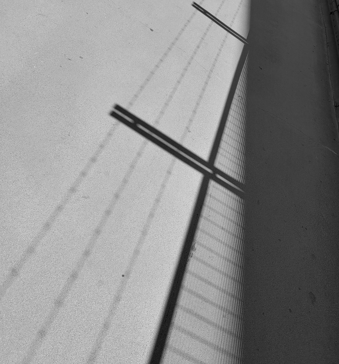 aptronym😷 ® (@aptronym) on Twitter photo 