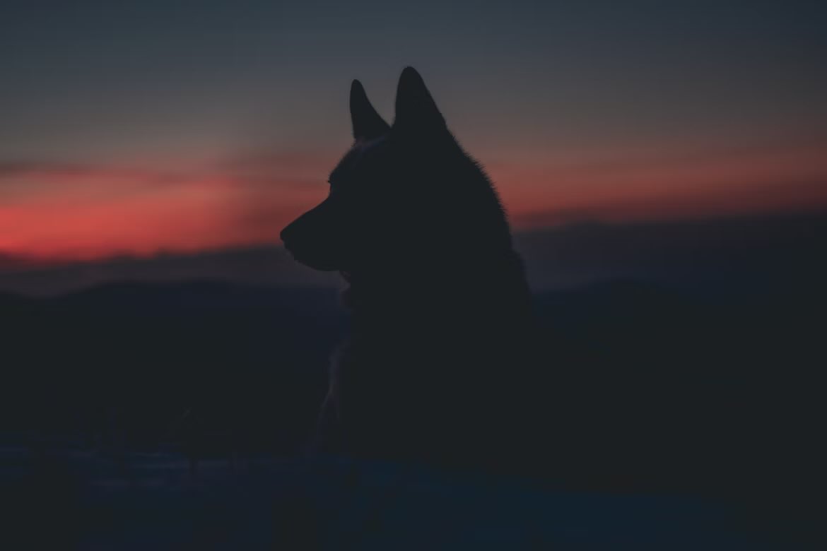 If you listen to advice and are willing to learn, one day you will be wise.

- Proverbs 19:20