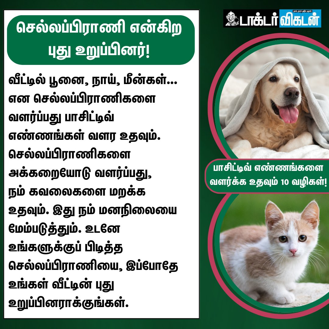DoctorVikatan's tweet image. பாசிட்டிவ் எண்ணங்களை வளர்க்க உதவும் 10 வழிகள்!

#PostiveVibes | #MentalHealth