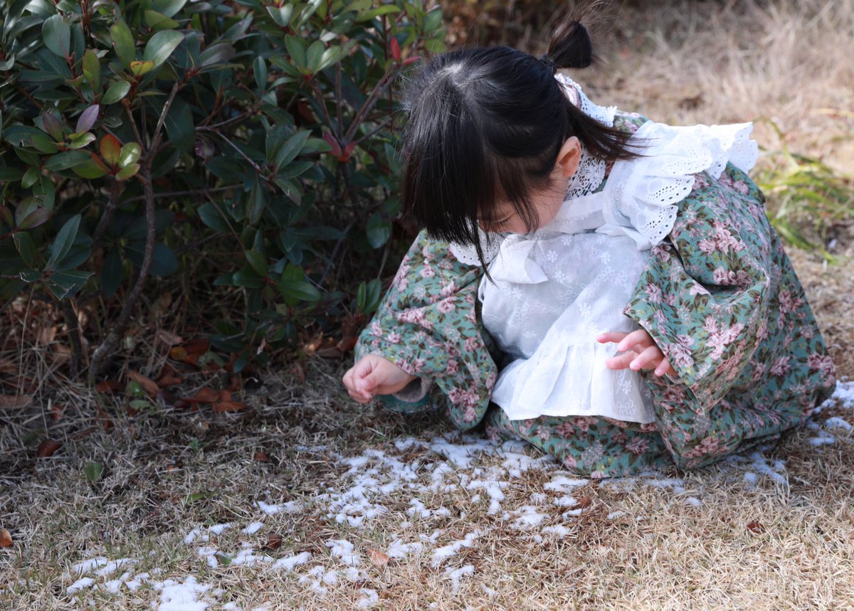 KIHARA_0's tweet photo. ⁎꙳❄︎𓇬 cos 𓇬❄︎⁎꙳
　　　
　　　　　大和守 ▸ きはら
　　　　　審神者 ▸ 娘ちゃん
⁡
　　Photo ▸ @siho865685moe 

素敵なお写真
ありがとうございました😭🌸

娘の顔が見えないものを
厳選して載せてみました🌸 https://t.co/iRe2GmbqjD