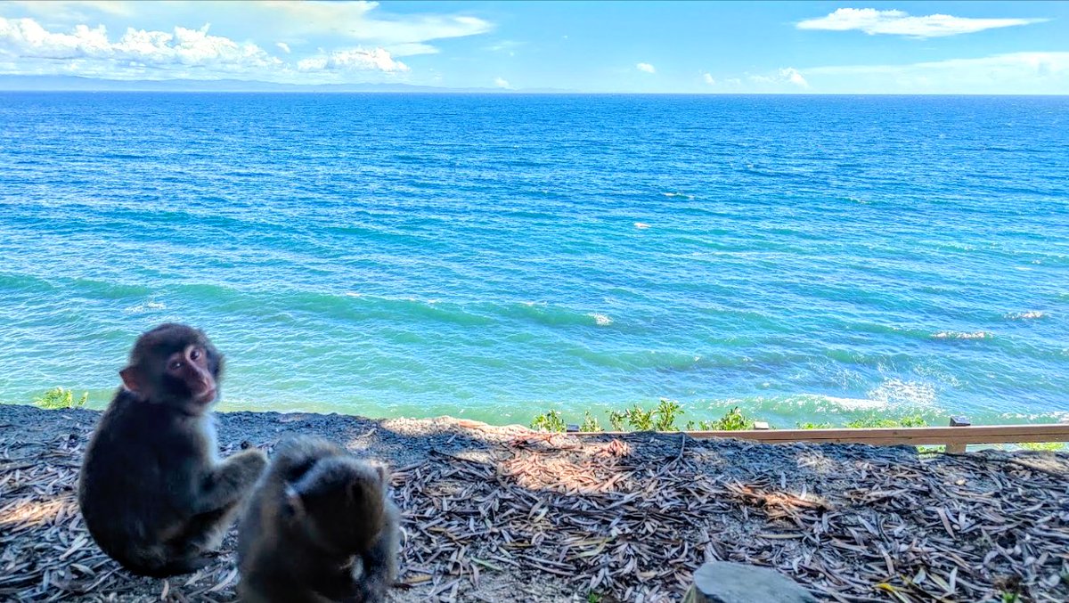 🎍🌅明けましておめでとうございます🎍🌅

今年も海のごちそうプロジェクトでは、海の豊かさを次世代へ伝えられるようよう頑張ってまいります！

2025年が皆さまにとって素敵な一年となりますように🍀
本年もどうぞよろしくお願いいたします！

#海と日本 #日本財団