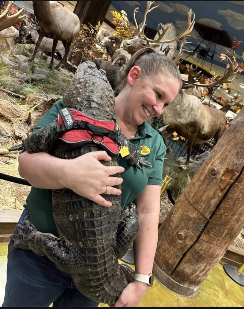 aminulive's tweet photo. @elonmusk And $Wally 🐊 is still missing #Savewally https://t.co/0HWtjS7KzO