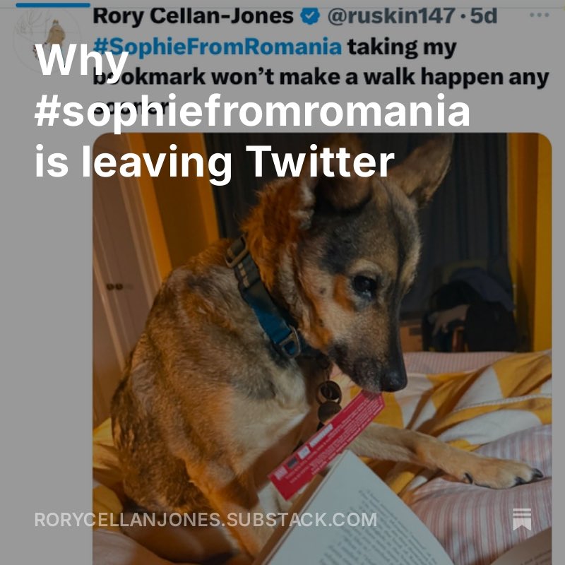 Rory Cellan-Jones tweet media