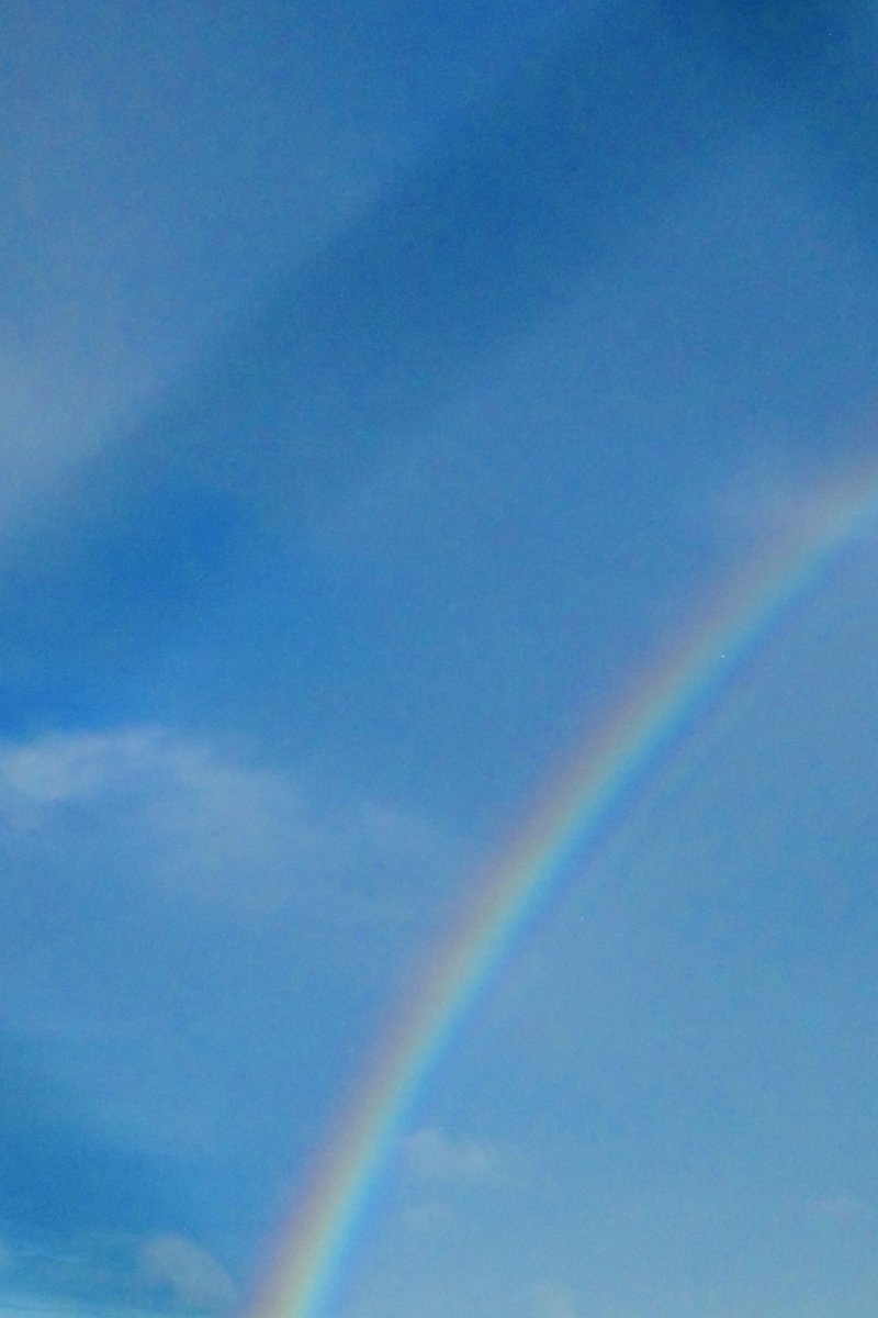 日向坂46 tweet media