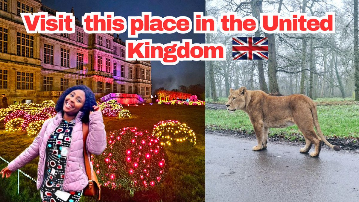 preciousexplor's tweet photo. You won't believe this is in the UK! 🇬🇧

Explore the enchanting Festival of Lights and  Safari Park a magical blend of light, culture, and wildlife.

🎥 Watch the full video here: https://t.co/9exEI8129N

#FestivalOfLights #LongleatSafariPark #UKHiddenGems #Preciousexplor https://t.co/yxOgavtFit