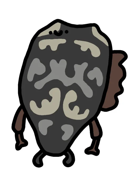 ヒラタハナムグリ 