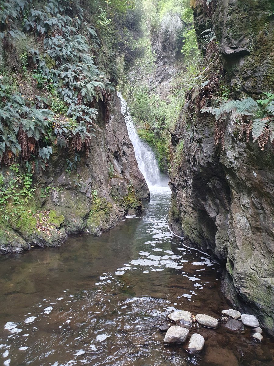 Benny boy tweet media