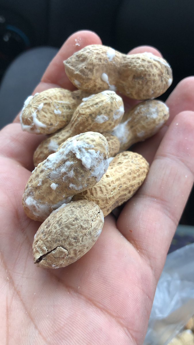 چرا وقتی قراره توشو بخوریم روش نمک میزنن؟