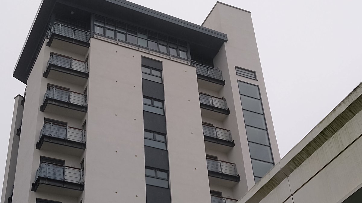 falconsflight51's tweet photo. Female peregrine on Harbour Sail (ASDA high-rise) yesterday, sheltering from the rain/wind. Some prey remains. https://t.co/7cc78lObY5