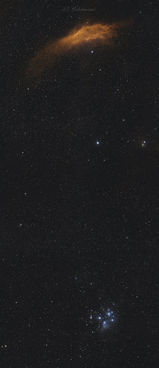 Makamomifr's tweet photo. Tap on the image to enlarge it
#NGC1499 #californianebula and #Messier45 #pleiades with my #redcat71
6x Mosaic #asi6200
#astropanorama
#astrophotography #astrophoto #astrofotografia #astrobackyard #space #starcluster #astronomy #deepsky #telescope #stars #galaxy #univers #astroaddicted #univers #messierobjects
#astrophoto #astrography #starscape #astro_photography #astroworld
#astronomie #astro #teleskop #sternenhimmel #weltall #passioneastrofotografia
