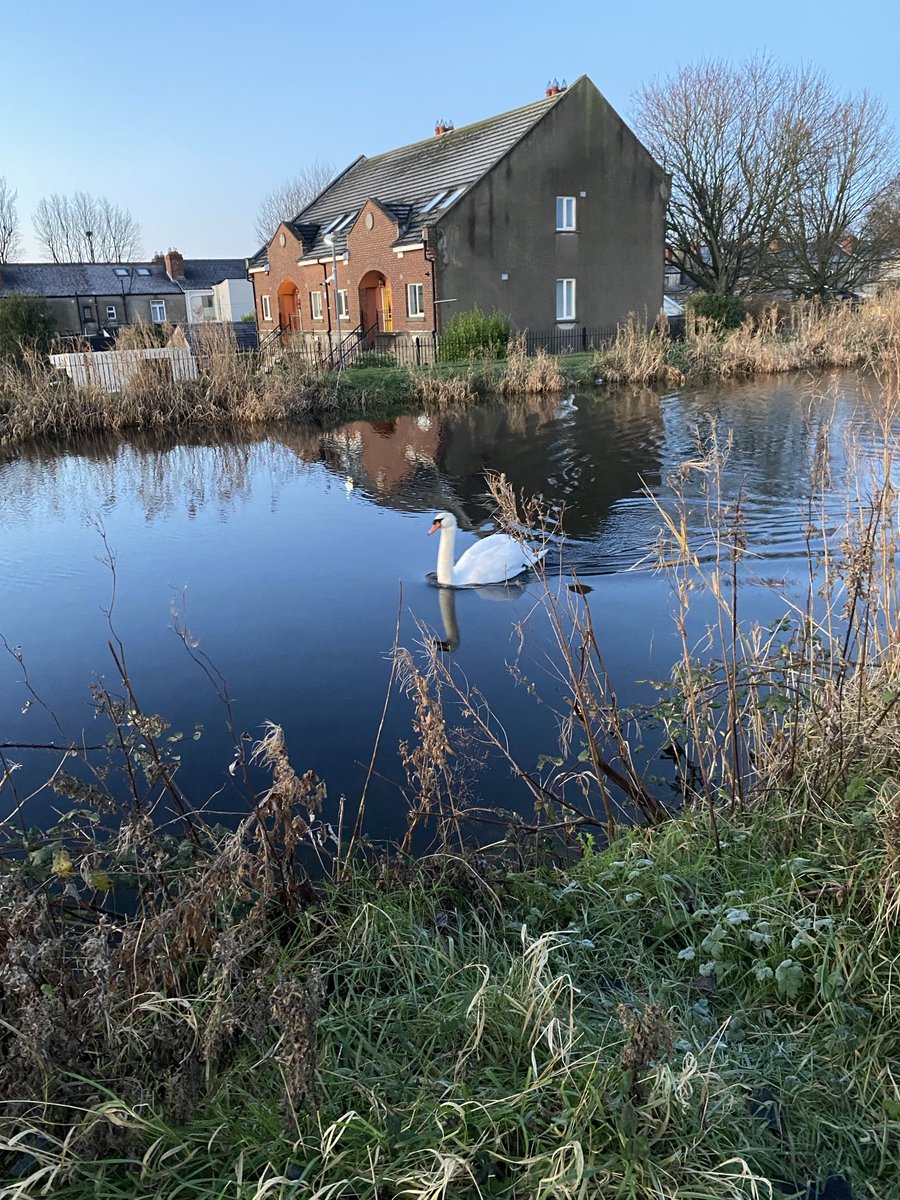 Linda FitzGerald tweet media