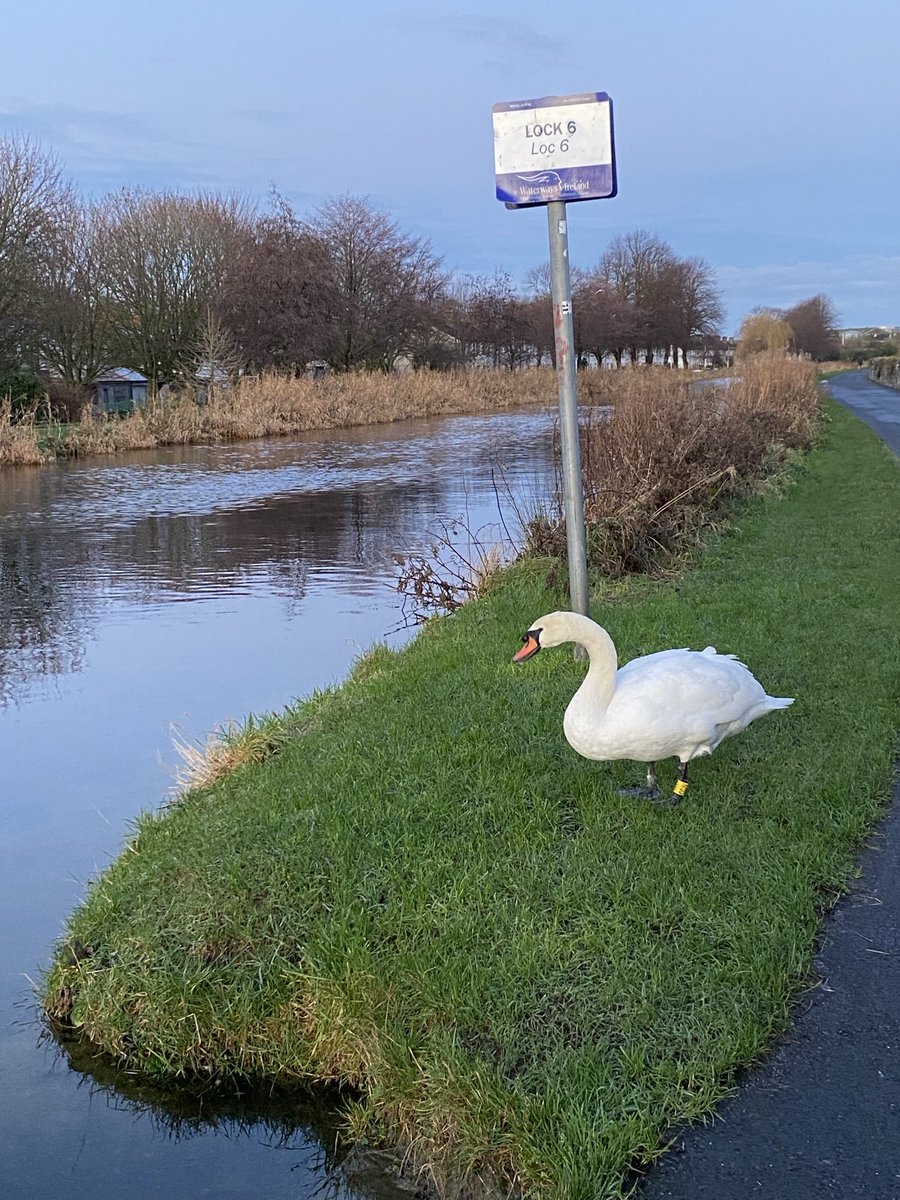 Linda FitzGerald tweet media