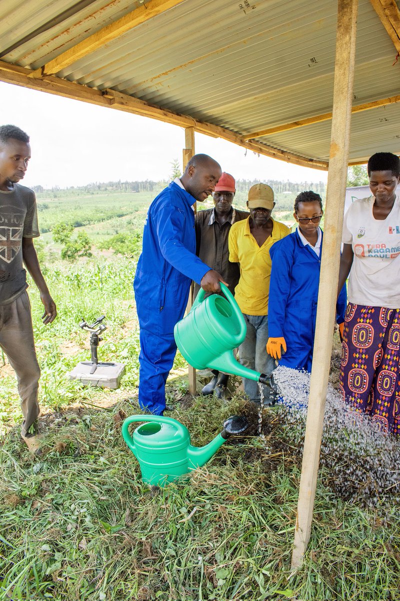 UzayisengaGerm1's tweet image. Are you a farmer and you are struggling to access organic fertilizer?
Just make compost for your own to use in your farm, it is easy. 
 Or @Rwandabiosolut
Let&apos;s promote #ClimateSmartAgriculture
#WasteManagement 
#UseWhatYouHave.