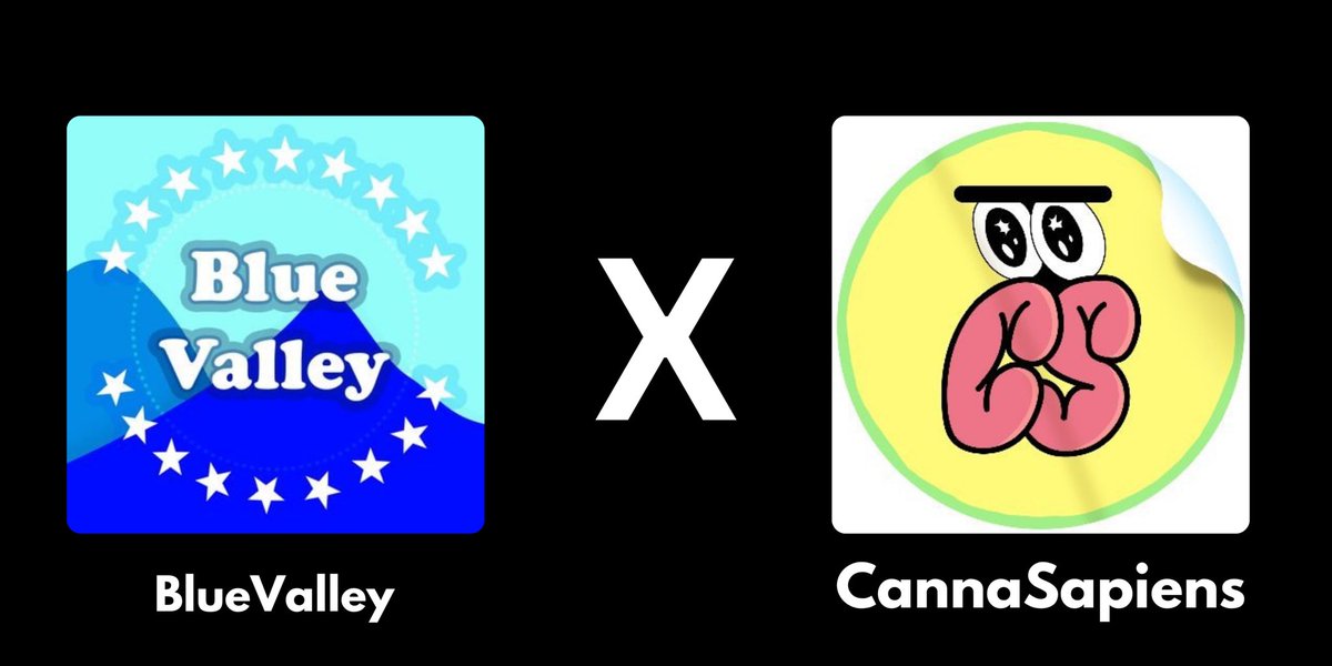 Blue Valley DAO tweet media