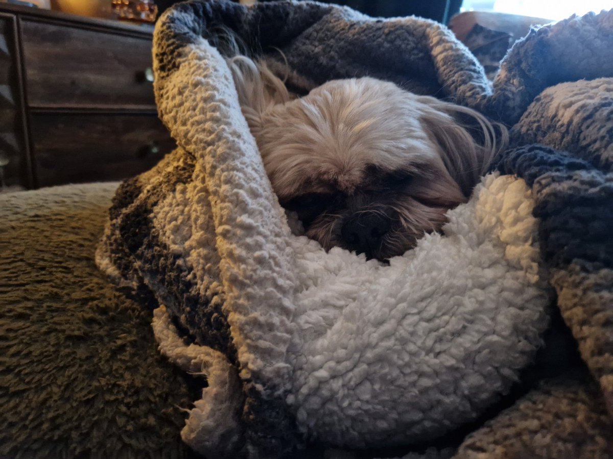 Part sausage roll 😋