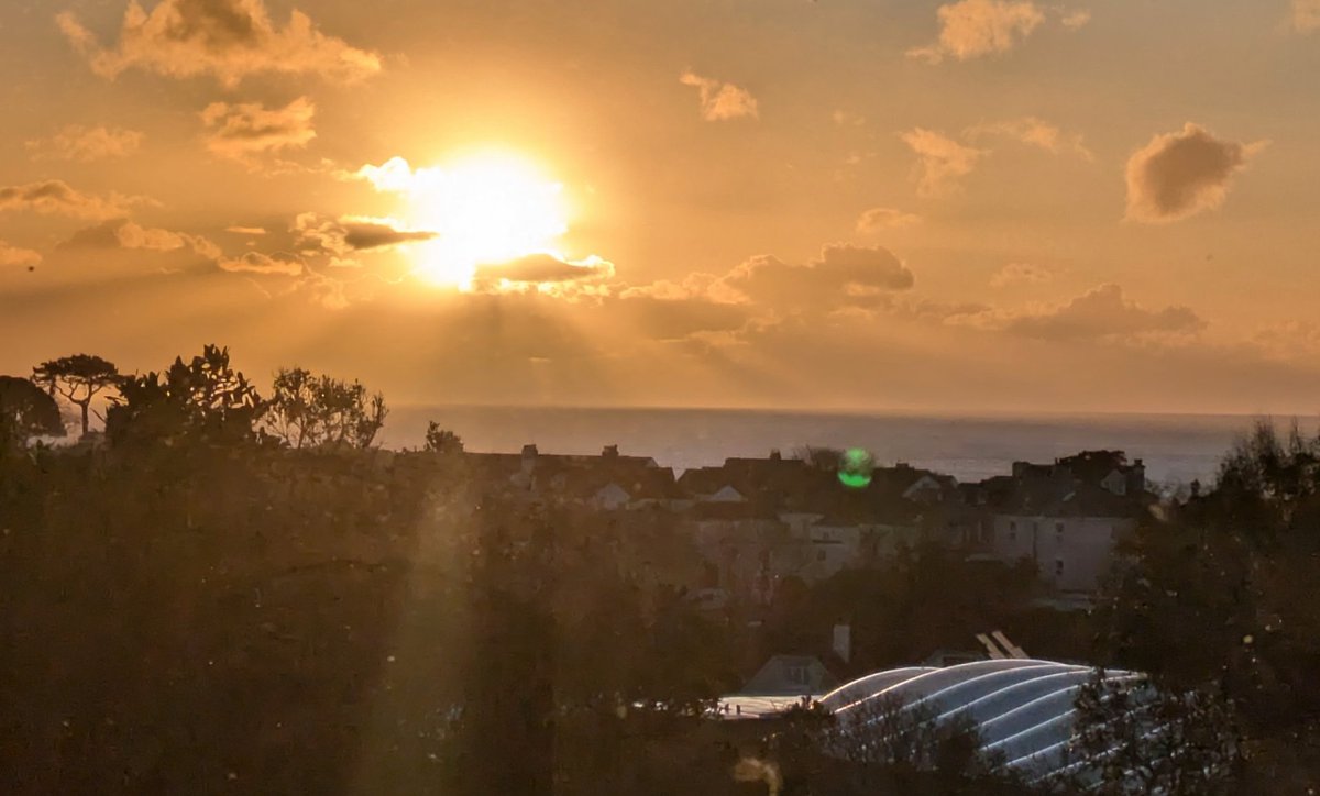 David Devanny tweet media