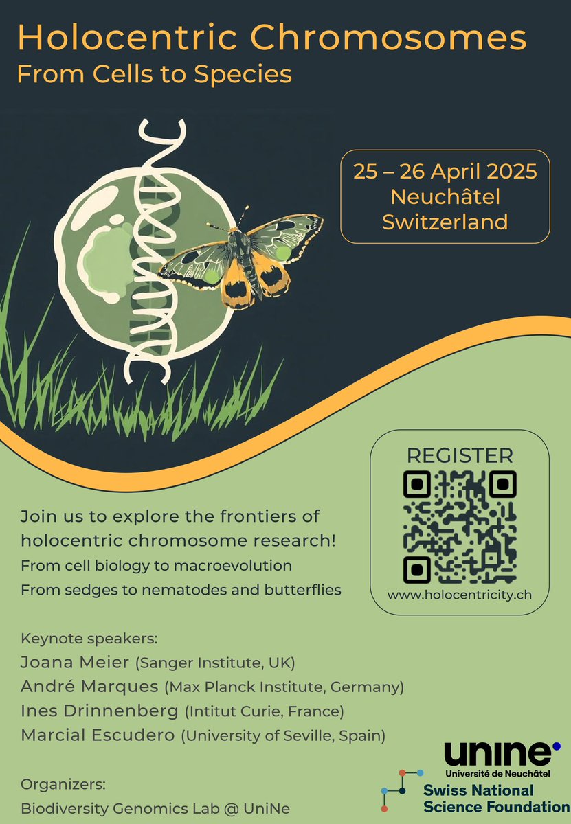 Ashwini V Mohan ಅಶ್ವಿನಿ 🦎🧬🙋🏾♀️ (@crazy_chipkali) on Twitter photo On a Science-ey 📝, we at the Biodiversity Genomics lab (biodiversity-genomics.ch) are organising a 2 day conference on all things do with holocentric #chromosomes! If you study species with #holocentric chrs, register & join us! <a href="/CamilleCornet17/">Camille Cornet</a> <a href="/KayLucek/">Kay Lucek</a> <a href="/scueridae/">Paula Escuer</a> #evolution On a Science-ey 📝, we at the Biodiversity Genomics lab (biodiversity-genomics.ch) are organising a 2 day conference on all things do with holocentric #chromosomes! If you study species with #holocentric chrs, register & join us! <a href="/CamilleCornet17/">Camille Cornet</a> <a href="/KayLucek/">Kay Lucek</a> <a href="/scueridae/">Paula Escuer</a> #evolution