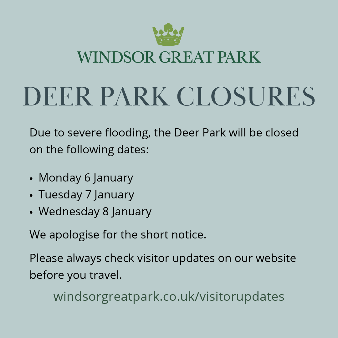 Windsor Great Park (@windsorgtpark) on Twitter photo Due to severe flooding, the Deer Park will be closed on the dates listed below.
An assessment will be made on Wednesday 8 January on the opening of the Deer Park and further information will be available on our website: windsorgreatpark.co.uk/visitorupdates
<a href="/visitwindsor/">Visit Windsor</a> <a href="/MyRoyalBorough/">MyRoyalBorough</a> Due to severe flooding, the Deer Park will be closed on the dates listed below.
An assessment will be made on Wednesday 8 January on the opening of the Deer Park and further information will be available on our website: windsorgreatpark.co.uk/visitorupdates
<a href="/visitwindsor/">Visit Windsor</a> <a href="/MyRoyalBorough/">MyRoyalBorough</a>