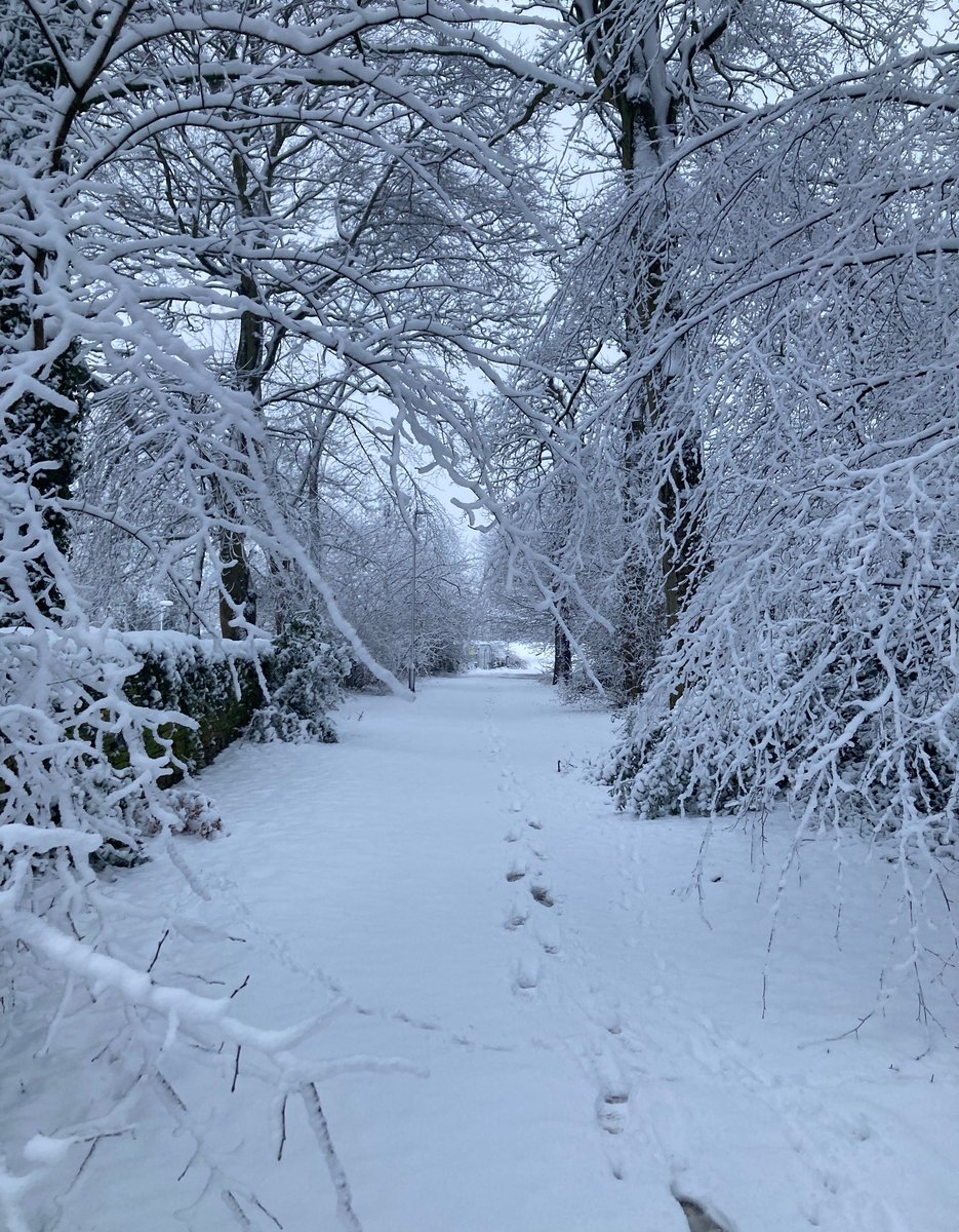 James Allen tweet media